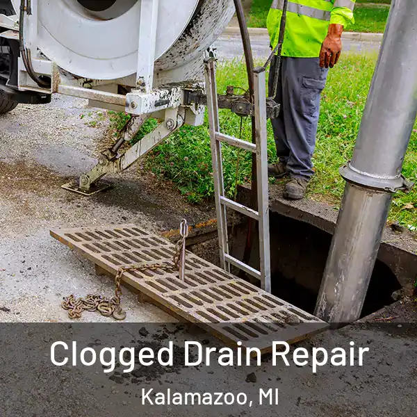  Clogged Drain Repair Kalamazoo, MI