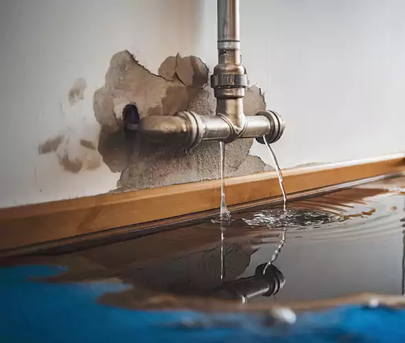 Professional Water Damage Restoration Experts in Kalamazoo, MI — Fast, Reliable & Certified