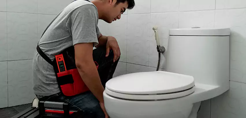 Toilet Repair in Kalamazoo