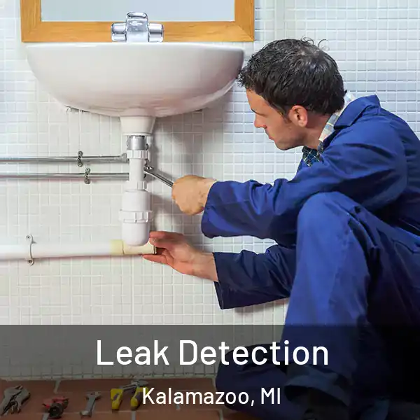  Leak Detection Kalamazoo, MI