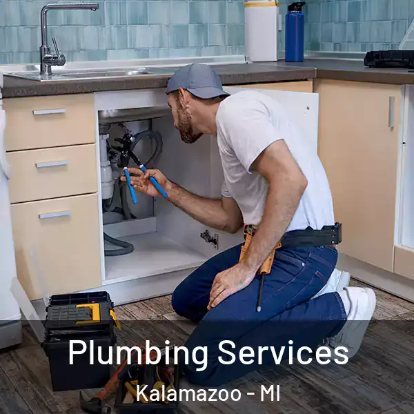 Plumbing Services Kalamazoo - MI