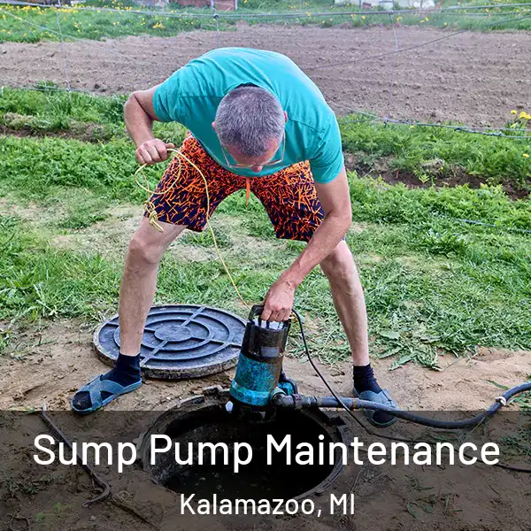  Sump Pump Maintenance Kalamazoo, MI