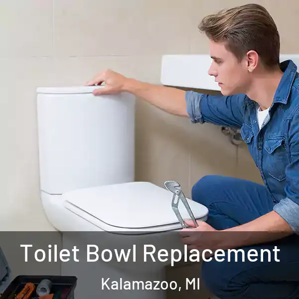  Toilet Bowl Replacement Kalamazoo, MI