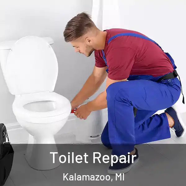  Toilet Repair Kalamazoo, MI