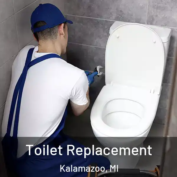  Toilet Replacement Kalamazoo, MI