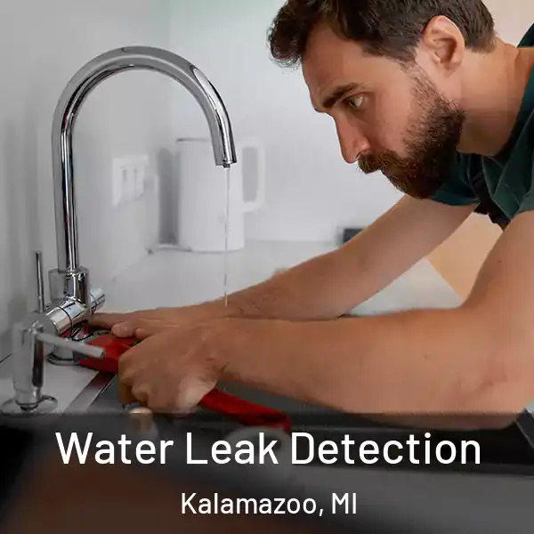  Water Leak Detection Kalamazoo, MI