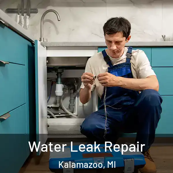  Water Leak Repair Kalamazoo, MI